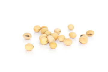 soy bean plant seed healthy vegetable food nature background