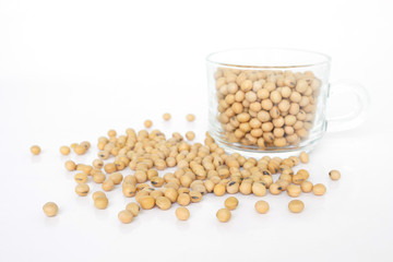 soy bean plant seed healthy vegetable food nature background