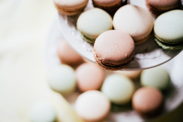 Homemade French Macaroons on the Plate, Pistachio, Coffee and Vanilla Macaroons, Beautiful Wallpaper