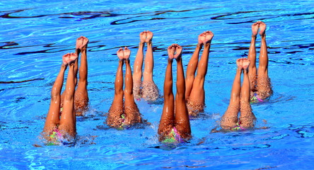 Synchronized Swimmers point up out of the water in action. Synchronized swimmers legs movement....