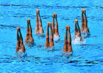 Synchronized Swimmers point up out of the water in action. Synchronized swimmers legs movement....
