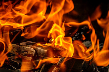 Fire burns for a shish kebab