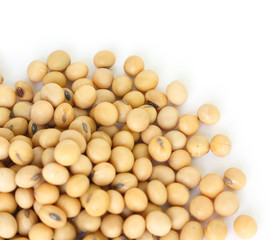 soy bean plant seed healthy vegetable food nature background