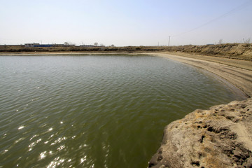 pond scenery in the rural areas
