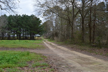 Road