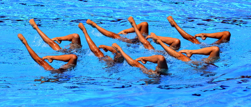 Synchronized Swimmers point up out of the water in action. Synchronized swimmers legs movement. Synchronized swimming team performing a synchronized routine of elaborate moves in the water.