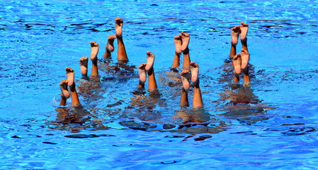 Synchronized Swimmers point up out of the water in action. Synchronized swimmers legs movement....