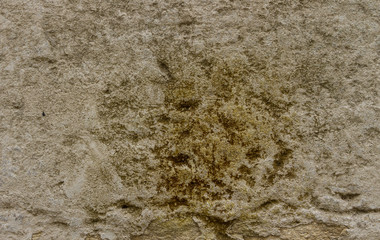 The fragment of the old wall is covered with beige plaster and fungus on the plaster.