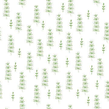 Simple botanical pattern with hand drawn herbs. Seamless vector print. 