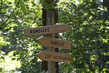 wegweiser im ruhewald rheinhessische schweiz