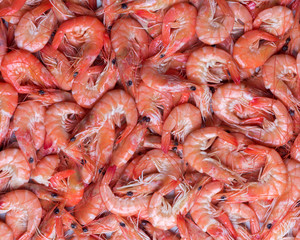 Big boiled shrimps close up. Seafood concept. Food photography