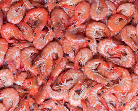 Big boiled shrimps close up. Seafood concept. Food photography