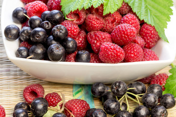 Fruit that is strong antioxidant, healthy eating - blackcurrant, chokeberry (aronia) and raspberry