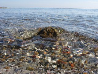 Obraz premium Black sea