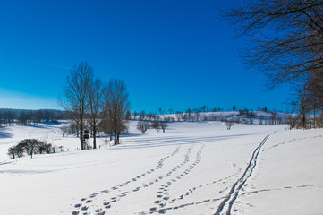 Winterlandschaft bei Altenberg mit Spuren im Schnee