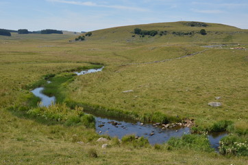 Fototapeta premium Plateau de l'Aubrac, France