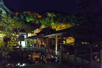 ライトアップ京都