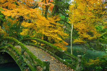 紅葉の森と苔の生えた石橋
