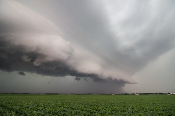 Looking along the leading edge of a severe thunderstorm with a menacing shelf cloud over a soybean...