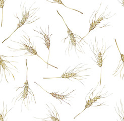 Obraz premium seamless pattern with wheat ears