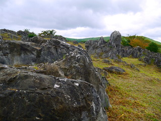 Fototapeta na wymiar 石灰岩
