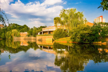 Obraz premium Ducks in Restaurant Lake