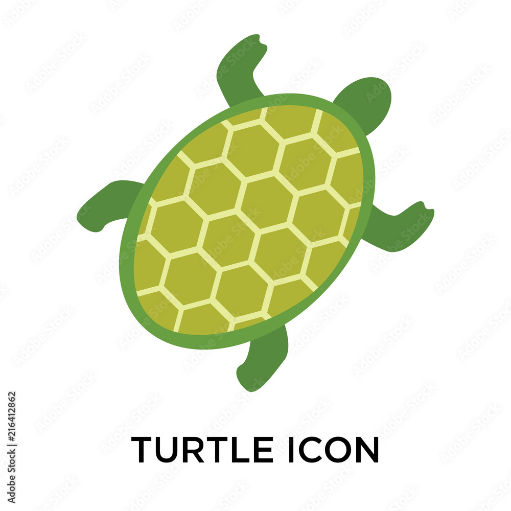 Poster turtle icons isolated on white background. modern and editable turtle icon. simple icon vector illus
