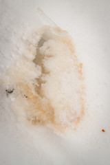 The texture of the tile.