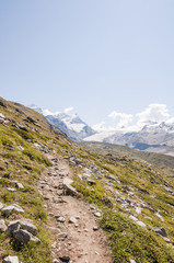 Fototapeta premium Zermatt, Adlerhorn, Findelgletscher, Strahlhorn, Gletscher, Wanderweg, Blauherd, Stellisee, Bergsee, Fluhalp, Wallis, Walliser Berge, Alpen, Sommer, Schweiz