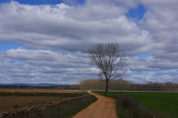 Fototapeta premium Trekking on the pilgrimage path of St. James