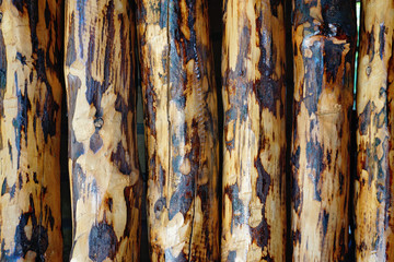 Old wood background texture