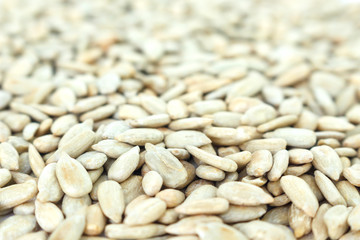 seed sunflower pile texture background.