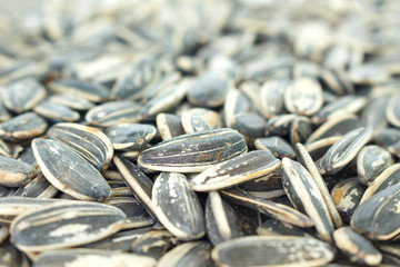 seed sunflower pile texture background.