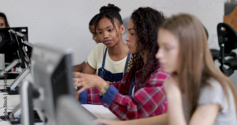 Wall mural students working together in a computer science class