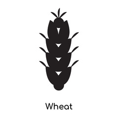 Wheat icon vector sign and symbol isolated on white background, Wheat logo concept
