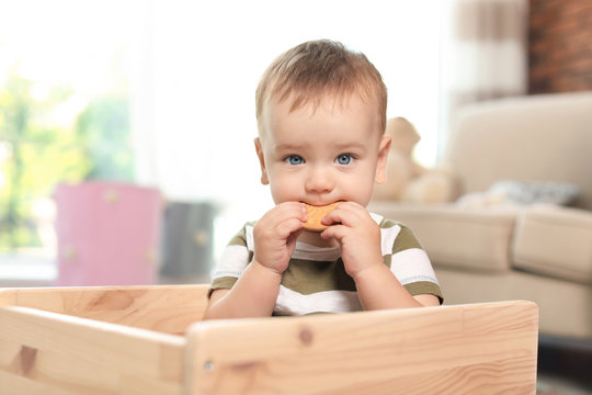 Adorable little baby eating tasty cookie indoors