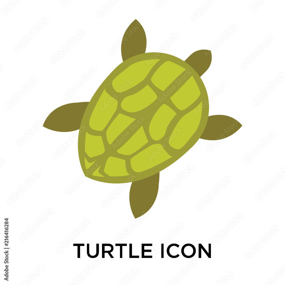Poster turtle icons isolated on white background. modern and editable turtle icon. simple icon vector illus