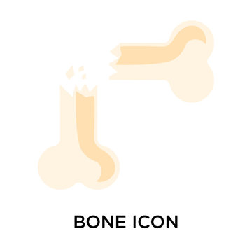 bone icons isolated on white background. Modern and editable bone icon. Simple icon vector illustration.