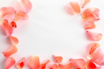 Obraz na płótnie Canvas Beautiful rose petals on white background