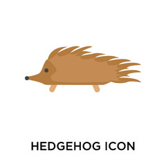 hedgehog icons isolated on white background. Modern and editable hedgehog icon. Simple icon vector illustration.