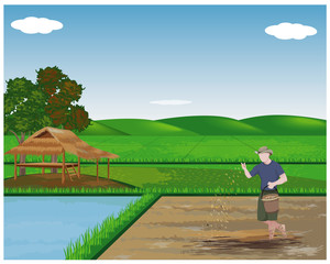 farmer sow manure in paddy field vector design