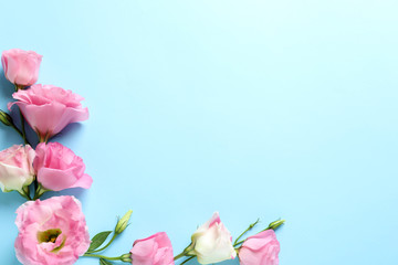 Flat lay composition with beautiful Eustoma flowers on color background