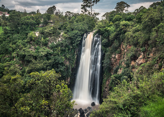 Thomson falls