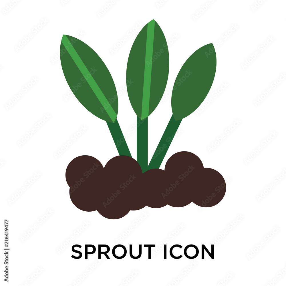 Poster sprout icon isolated on white background. modern and editable sprout icon. simple icons vector illus