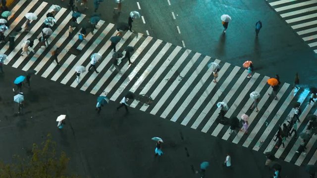 Pedestrian crosswalk in Shibuya, Tokyo. High angle view of people crossing the street in business district