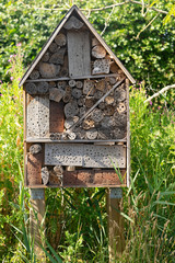 Insektenhotel - Unterschlupf und Lebensraum für viele Nützlinge
