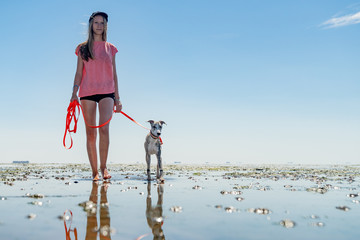 junges blondes Mädchen läuft mit ihrem Whippet Hund im Wattenmeer