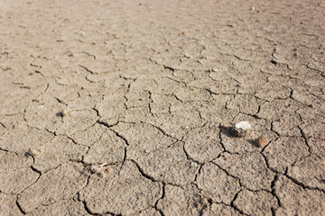 Dry Cracked Dirt Land