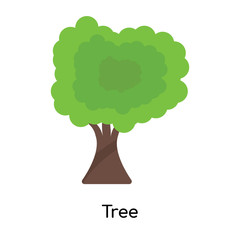 Tree icon vector sign and symbol isolated on white background, Tree logo concept