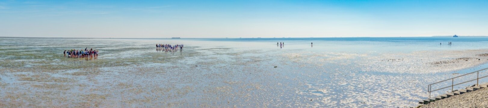 Panoramaaufnahme - Erlebnis Wattwanderung im Wattenmeer der Nordsee, bei Dageb&uuml;ll